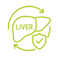 A green icon of a liver with circling arrows and a shield with a checkmark.
